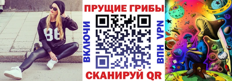 Галлюциногенные грибы GOLDEN TEACHER  Верхний Уфалей 